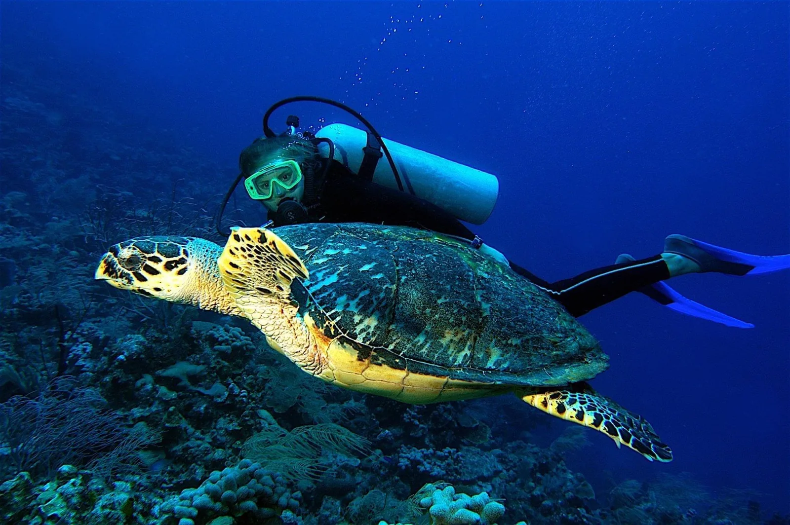 Roatan